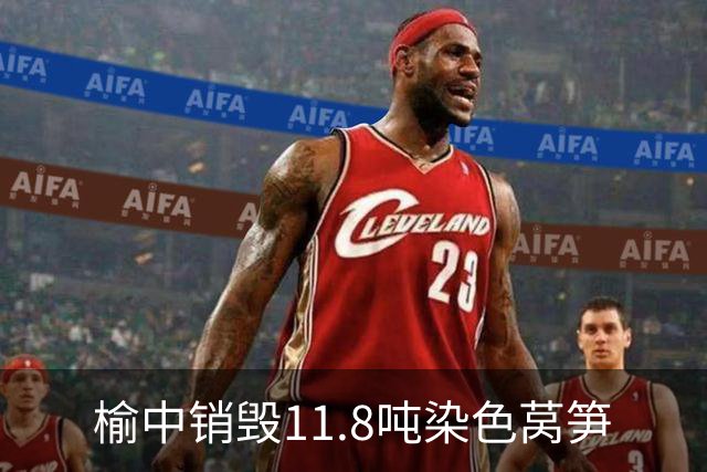 榆中销毁11.8吨染色莴笋